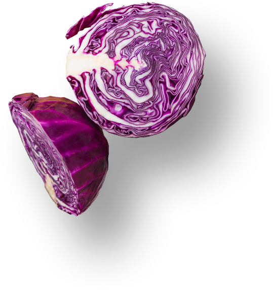 slider-layer2.png